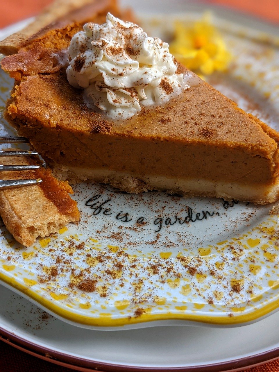 Tarte à la citrouille